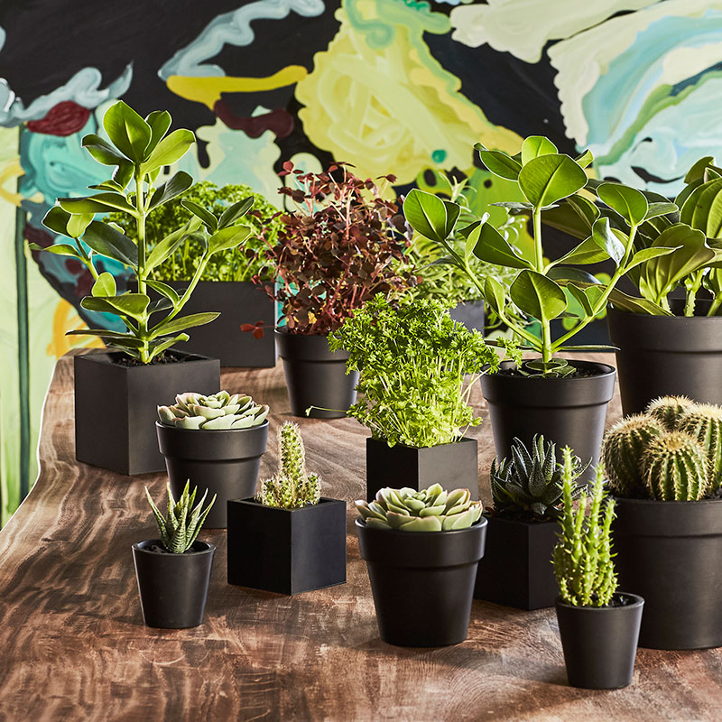 SEJ Design Urtepotte / Opbevaring – Small - Billede 2