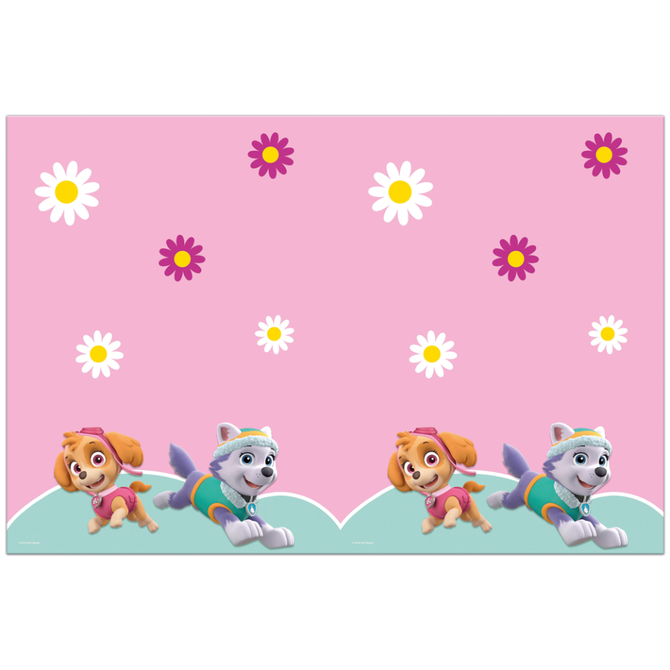 Paw Patrol Skye & Everest Dug